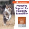 Feline Complete Joint Care - Image 7
