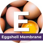 Eggshell Membrane
