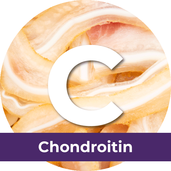 Chondroitin
