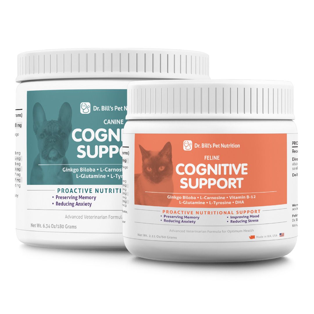 Cognitive function support