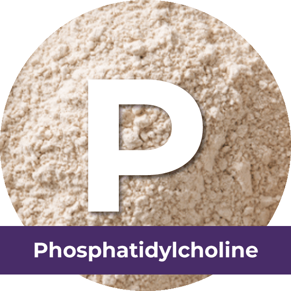 Phosphatidylcholine