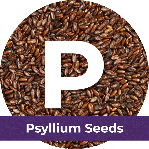 Psyllium-Seeds