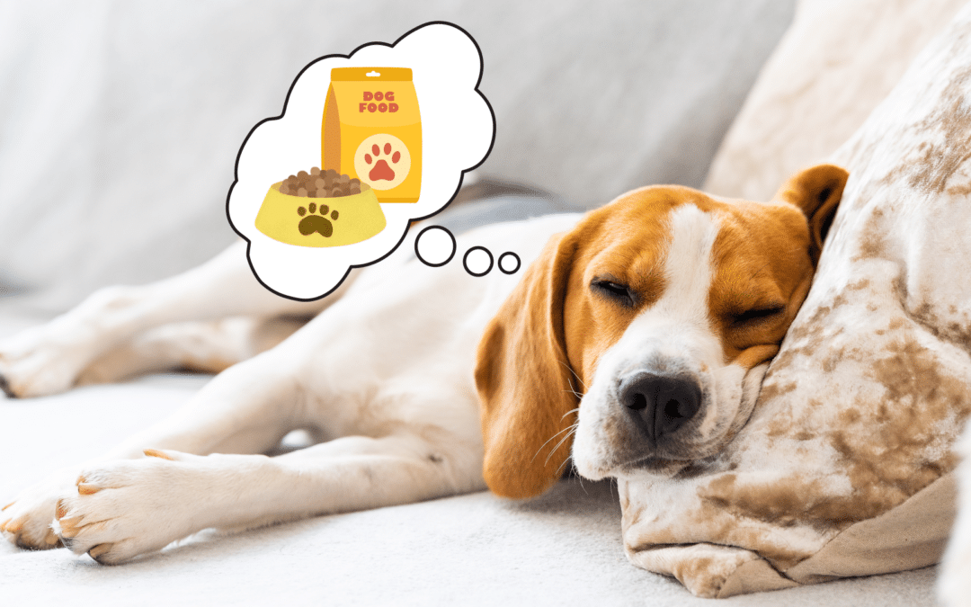Do Dogs Dream? And, If So, What Do Dogs Dream About?