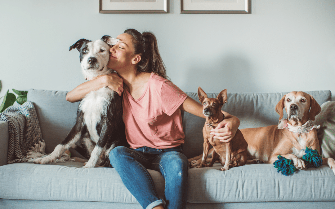 Why Do Animals Like Being Pet?