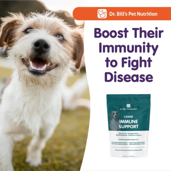 Canine Immune Support - Image 7