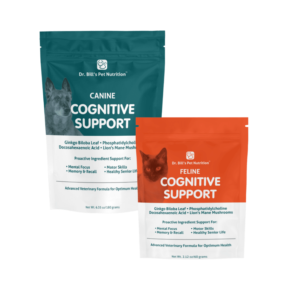 Fresh Look at Cognitive Function Dog Cat Health Supplements