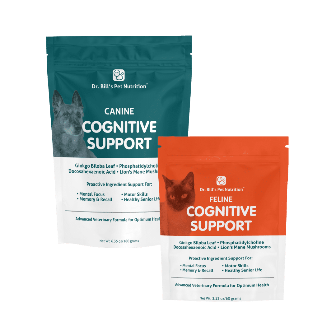 Cognitive_Support_Main