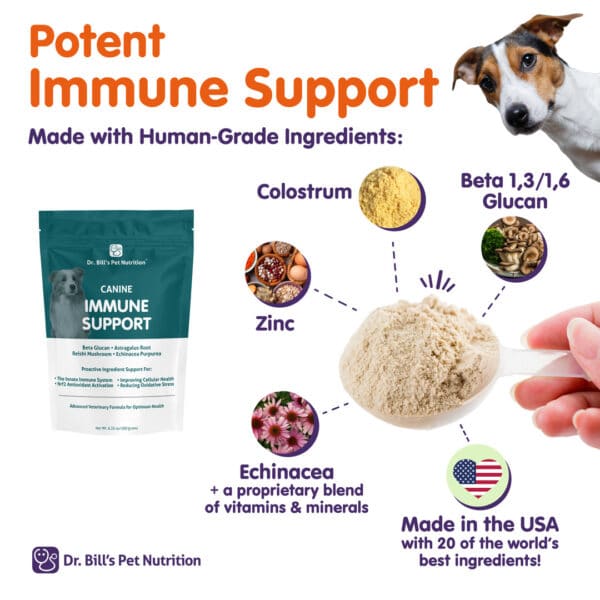 Canine Immune Support - Image 2