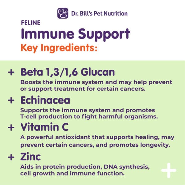 Feline Immune Support - Image 5