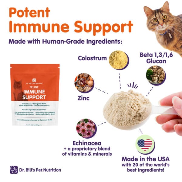 Feline Immune Support - Image 2