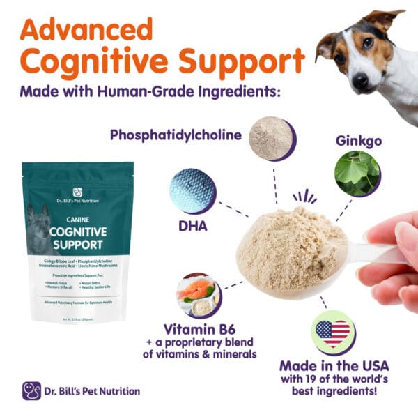Canine Cognitive Support - Image 2