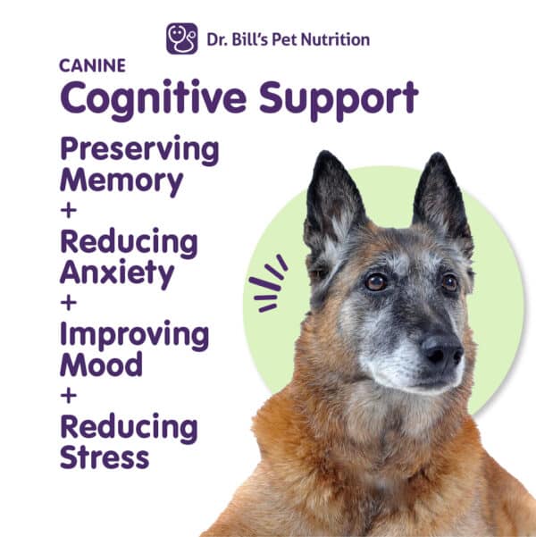 Canine Cognitive Support - Image 3
