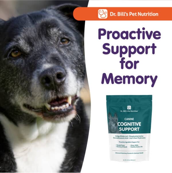 Canine Cognitive Support - Image 8