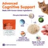Feline Cognitive Support - Image 2
