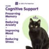 Feline Cognitive Support - Image 3
