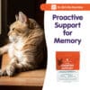 Feline Cognitive Support - Image 7