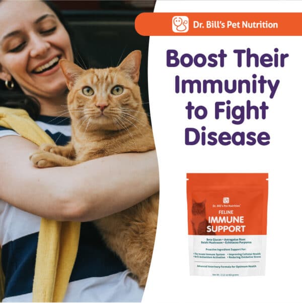 Feline Immune Support - Image 7